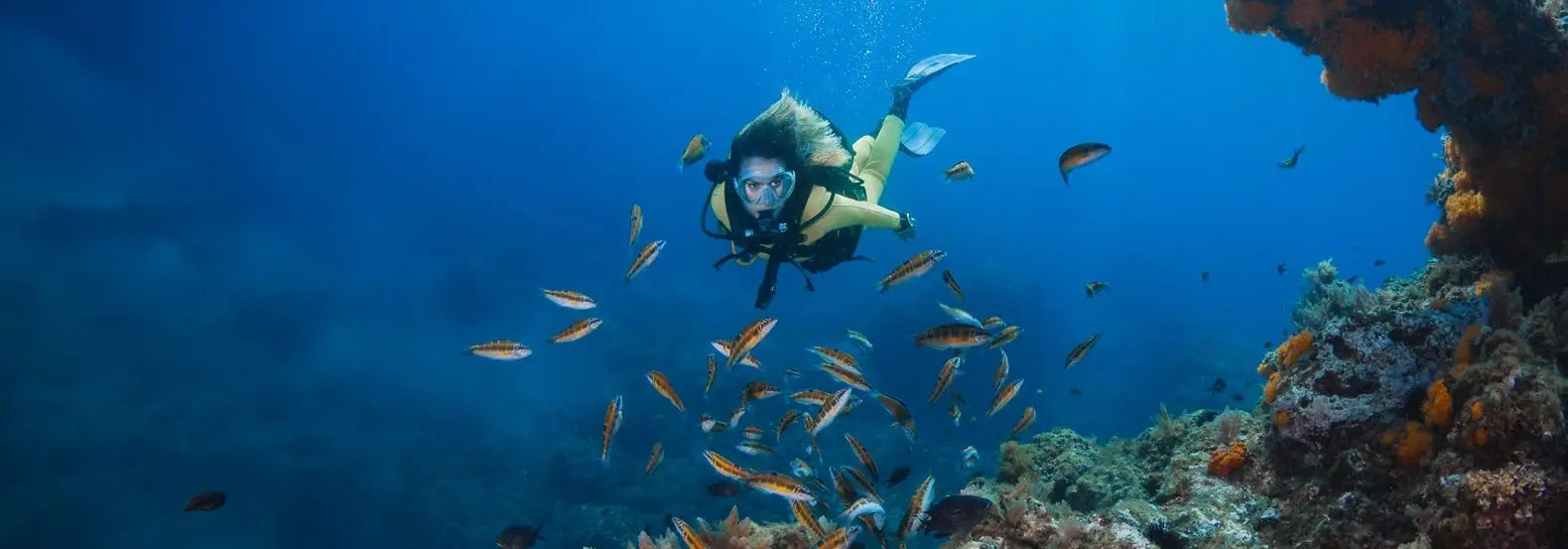 Scuba diver exploring coral reefs and marine wildlife in coastal waters near Bayfront Marina Residences Siniya Island.