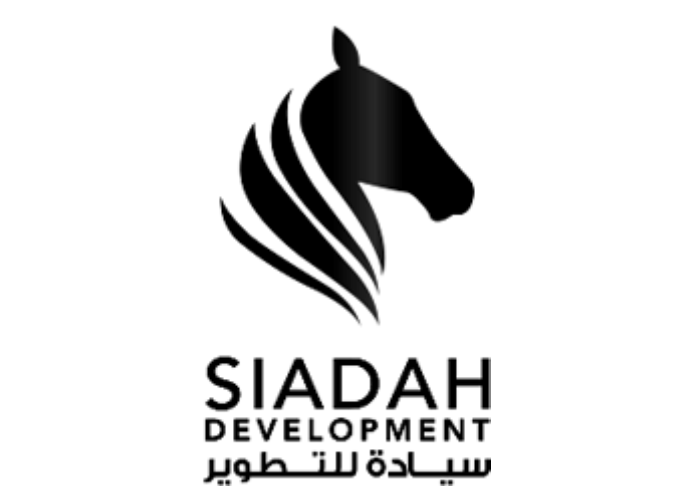 Develoepr logo