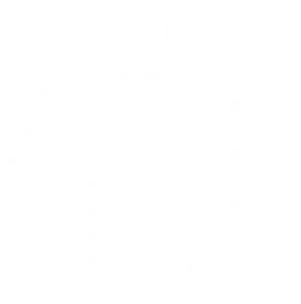 Sustainable Construction