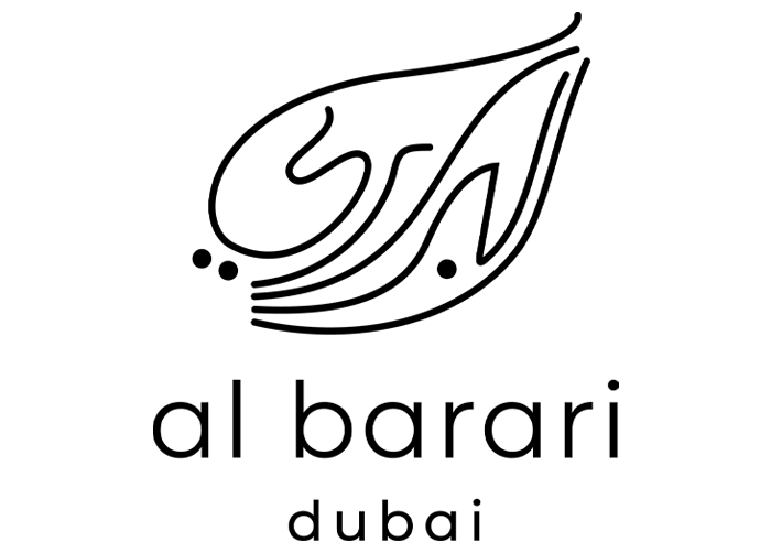 Develoepr logo