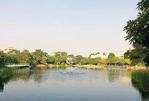 Scenic lakes and streams at The Reserve Al Barari Dubai luxury community with tranquil green surroundings.jpg