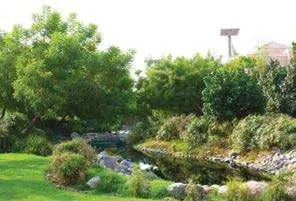 The Farm restaurant in The Reserve Al Barari Dubai offering unique dining in lush Nad Al Sheba estate.jpg