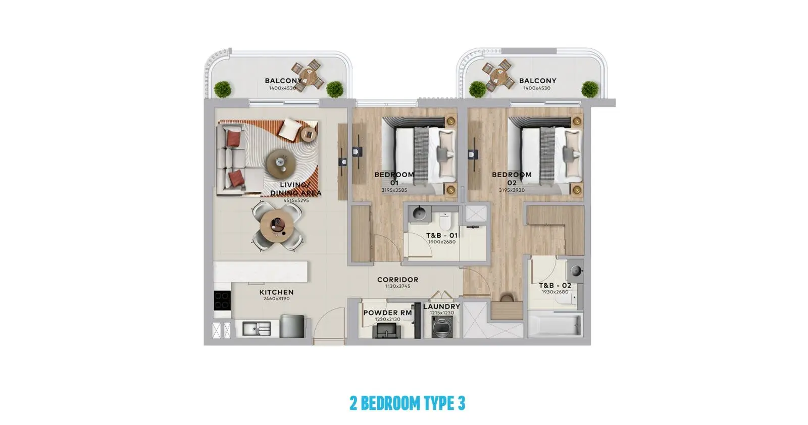 Type 3