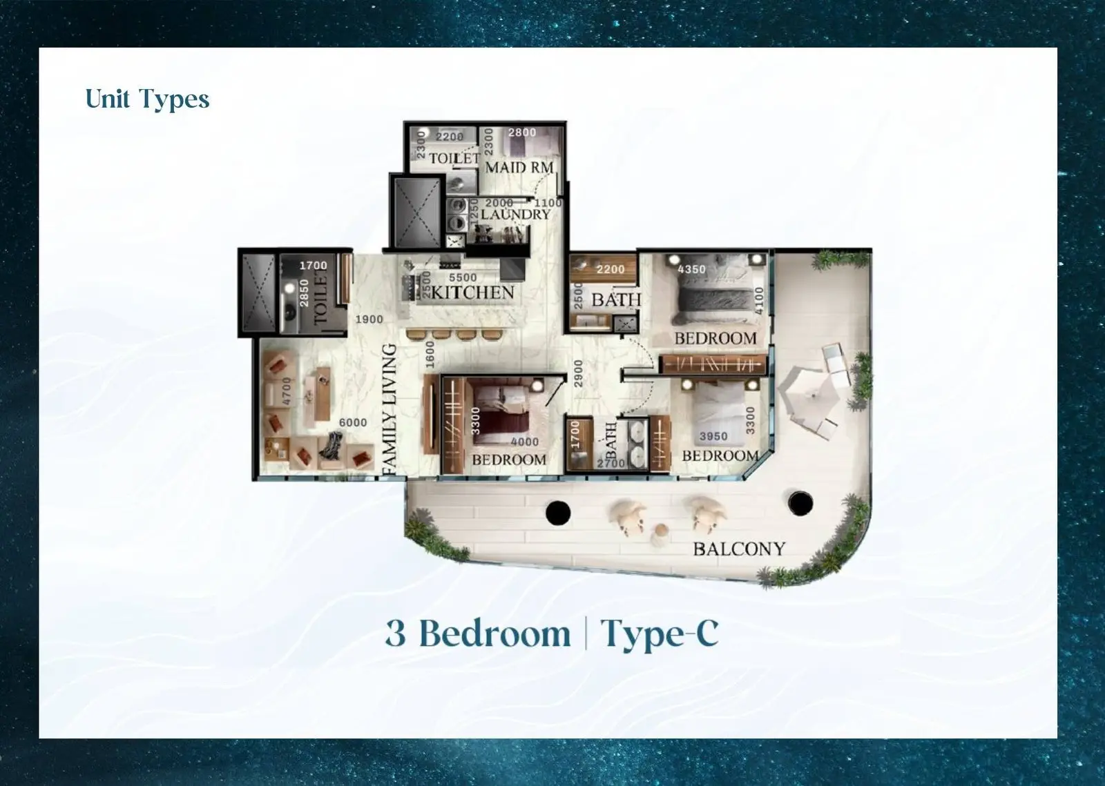 Type C