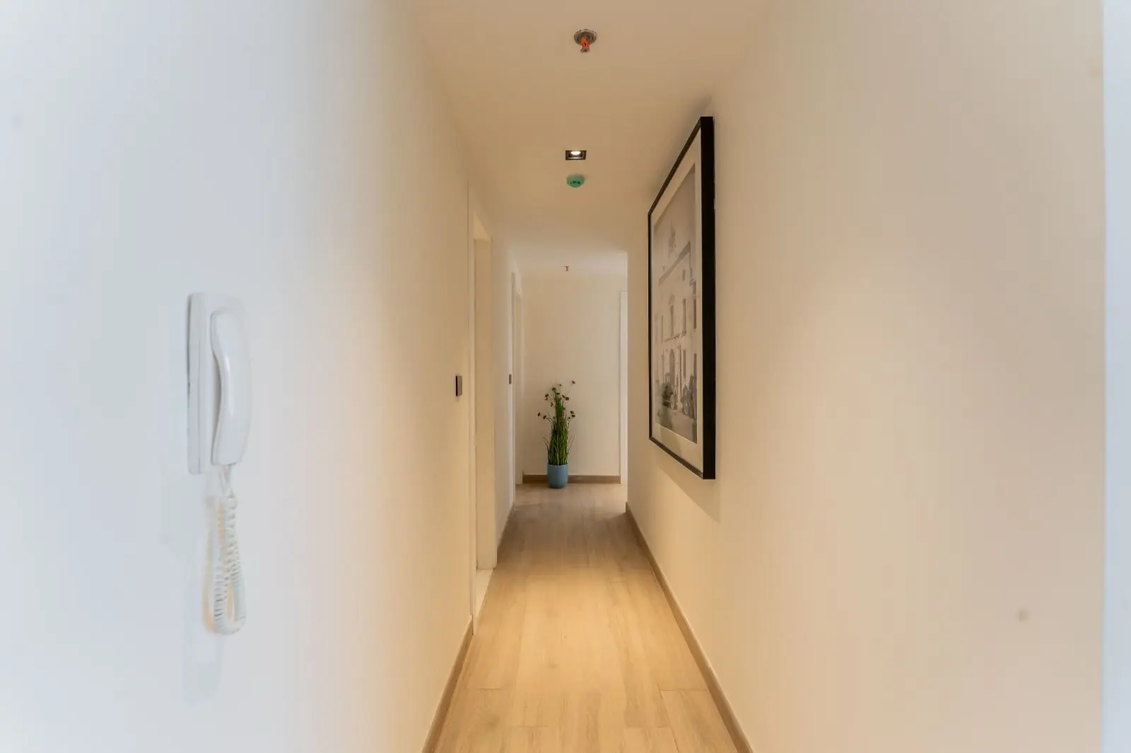 Barari Views in Al Barari by Premier Choice International - Interior Image 16
