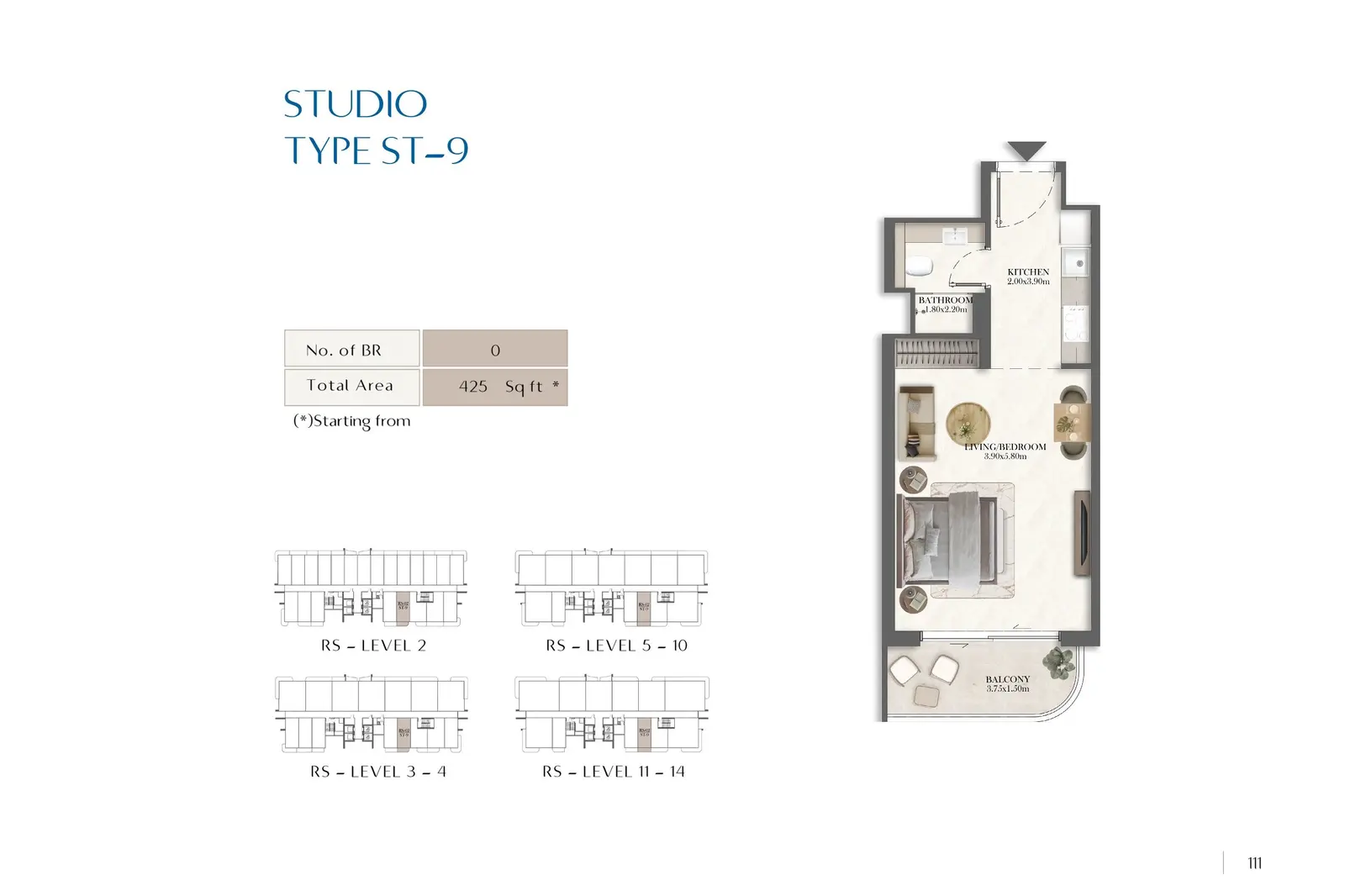Type 9